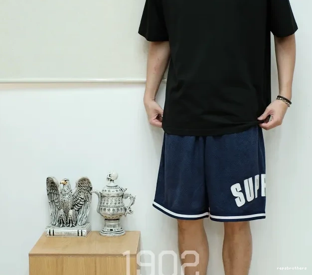 MESH shorts 24SS ULTRASUDE mesh SHORT suede 0721